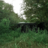 U zrenjaninskim selima ne postoji nijedna uređena plaža, dok se na gradskoj sade palme 1