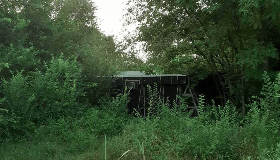 U zrenjaninskim selima ne postoji nijedna uređena plaža, dok se na gradskoj sade palme 1