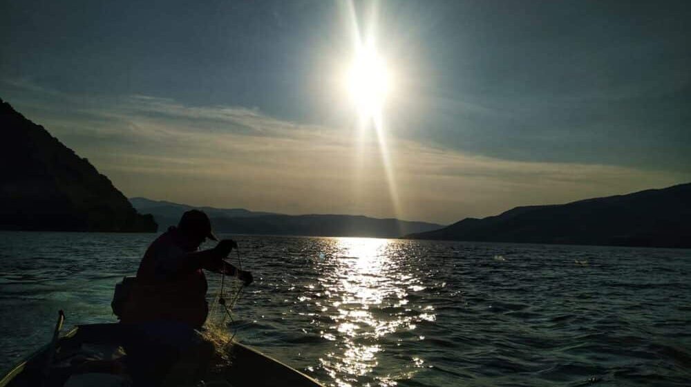 Kako je Dejanu iz Donjeg Milanovca čitav Dunav postao kancelarija 1