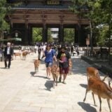 Nara (1): Hram na obodu svete šume 4