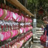 Nara (2): Vekovi sačuvani u drvetu 4