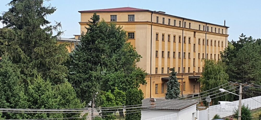 Zašto je duvana u Banatu sve manje: Proizvođači kažu da će prinos biti prepolovljen 2 Zašto je duvana u Banatu sve manje: Proizvođači kažu da će prinos biti prepolovljen 2