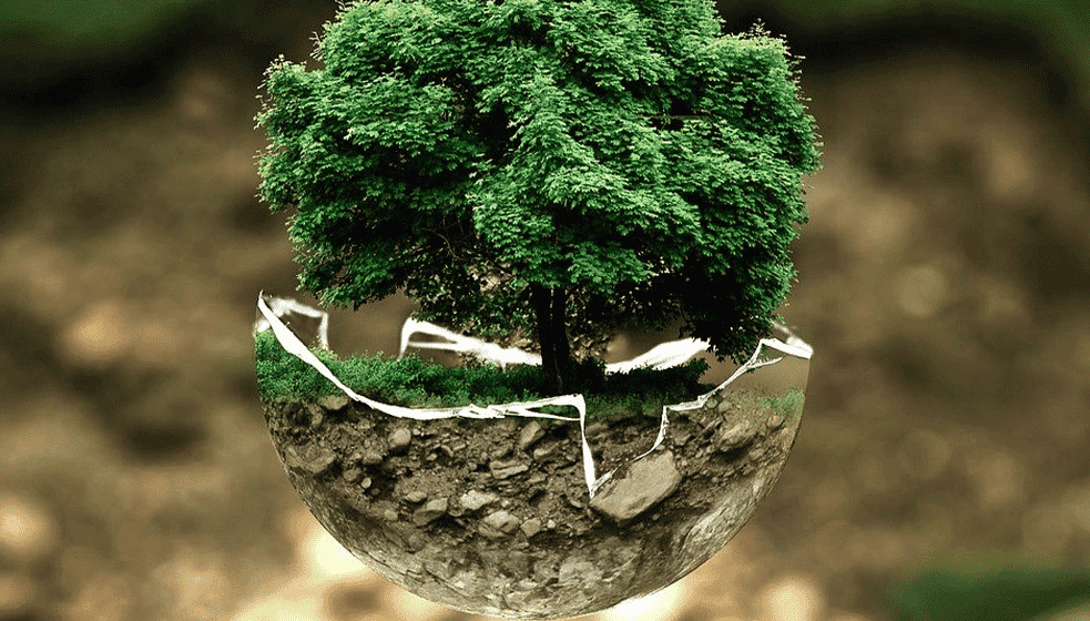 Dve trećine potrošača želi da kupuje proizvode sa pozitivnim ekološkim uticajem 1