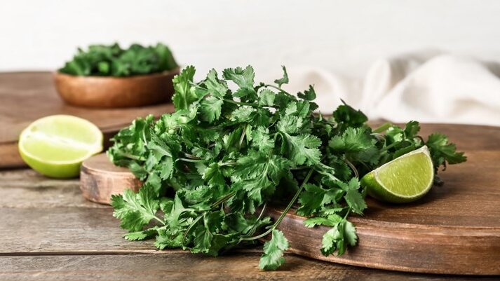 Korijander - saveznik u borbi protiv starenja 1