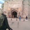 Grad Niš ostao bez ijednog republičkog dinara za ozelenjavanje jer je napravio propust u konkursnoj prijavi: Narodni pokret Srbije 12