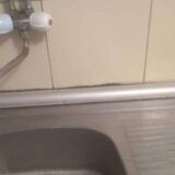 Žitelji sela Malča bez vode na tropskoj vrućini: Umesto priključenja na niški vodovod, Grad Niš im ponudio kontrolu komunalne milicije 7