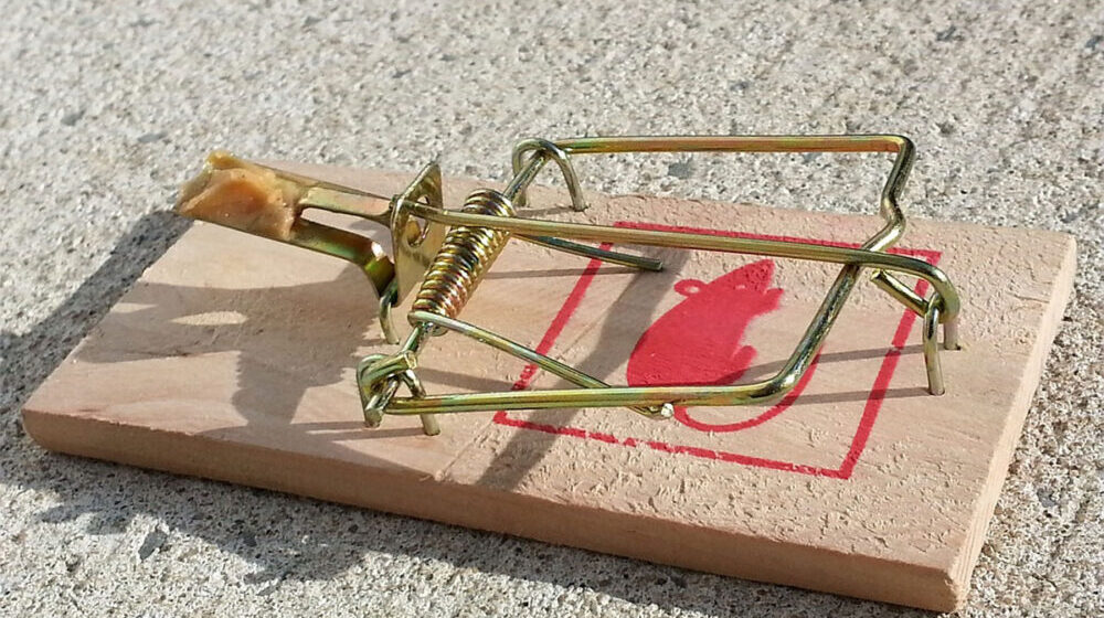 Deratizacija u opštini Kladovo 1