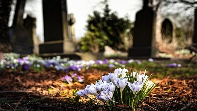 Podneta krivična prijava protiv žene zbog sumnje da je izvadila 37 krstova na pravoslavnom groblju u Kikindi 1
