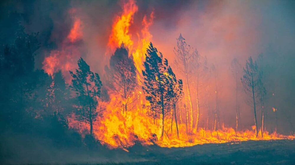 U požarima na jugu Francuske koji gore već pet dana uništeno 10.000 hektara šume 1