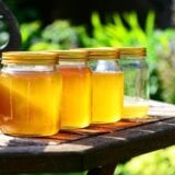 Grad Subotica raspisao konkurs za sufinansiranje obuke pčelara 2
