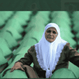 Majke Srebrenice: Nametanjem podela u BiH, OHR nastavlja tamo gde su Karadžić i Mladić stali 7