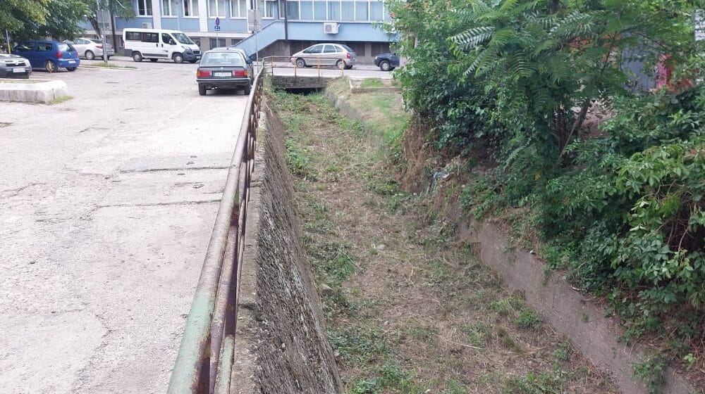 Nakon pisanja Danasa stanari centra Zaječara prodisali: Očišćena je jaruga u kojoj su bile zmije i pacovi 1