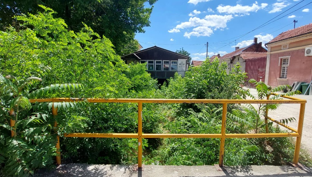 “Ovo je džungla na asfaltu”: Problemi stanara jednog naselja u Zaječaru gde su se pojavili pacovi 2 “Ovo je džungla na asfaltu”: Problemi stanara jednog naselja u Zaječaru gde su se pojavili pacovi 2