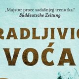 Potraga u unutrašnjosti zemlje 9