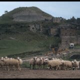 Filmski festival “Otvoreni predeli” na Rudniku od 29. do 31. jula 3