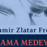 Dve novosadske promocije romana Damira Zlatara Freya 2