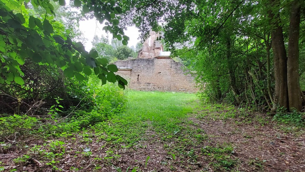Mnogi Zaječarci nisu čuli za manastir Lapušnja, pustu svetinju koja se krije u šumarku 4