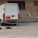 Muke Zaječaraca sa napuštenim psima: Noću se skupljaju na železničkoj stanici, a ima ih nekoliko agresivnih 6