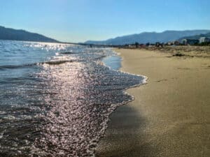 Koje sve opasnosti vrebaju kućne ljubimce na letovanju: Bez ove zaštite ne vodite psa na more 3 Koje sve opasnosti vrebaju kućne ljubimce na letovanju: Bez ove zaštite ne vodite psa na more 3