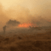 Vatrogasci se bore sa šumskim požarima na severu Teksasa 9