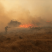 U rezervatu na severu Banata "Pašnjaci velike droplje" izbio novi požar 16