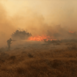 U rezervatu na severu Banata "Pašnjaci velike droplje" izbio novi požar 8