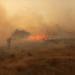 U rezervatu na severu Banata "Pašnjaci velike droplje" izbio novi požar 19