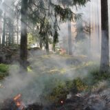 Hiljade umrlih čak i u Evropi posle džinovskih šumskih požara u Kanadi 2023. 3