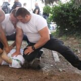 Posle napada na građane u Novom Sadu: Nasilje glavni metod u politici SNS i posle 3. aprila 3