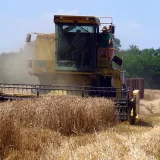 Aleksandar Bogunović (PKS) o ukidanju zabrane izvoza žitarica: To će pomoći da vratimo kupce koje smo izgubili 15