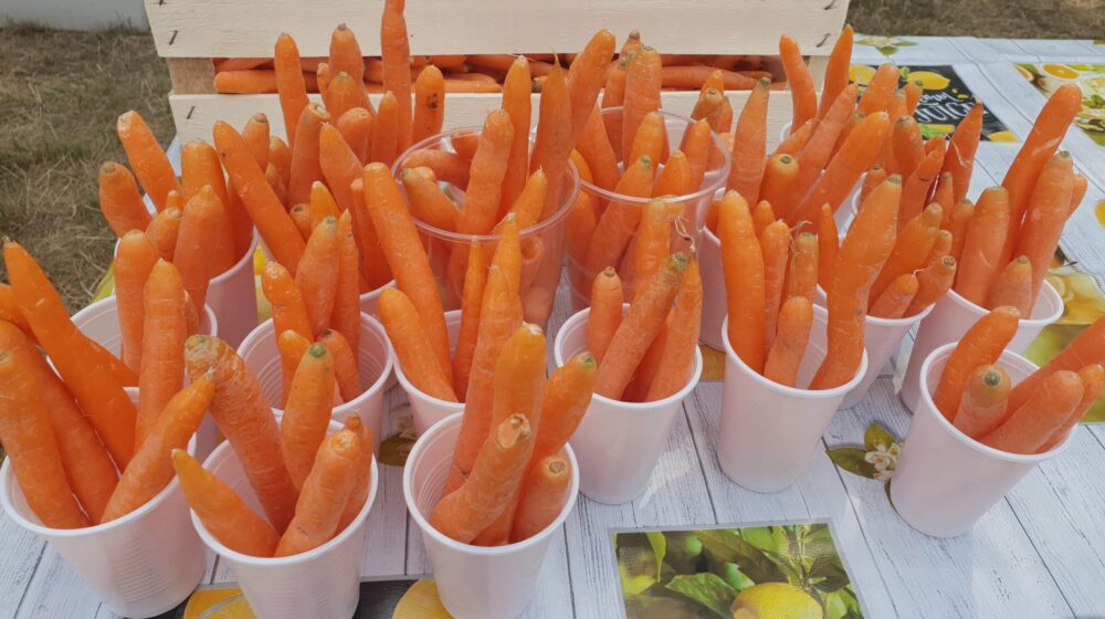 Kako da pripremite šargarepu ovih letnjih dana: Nekoliko predloga kako je sve iskoristiti u jelima 1