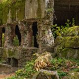 Hitlerova "Vučija jazbina" kao turistička atrakcija: Gde se nalazi i šta se sve u njoj može videti? 13