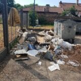 U Zrenjaninu skuplje usluge “Čistoće i zelenila” 1