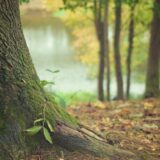 Generalna skupština UN proglašava pristup čistoj i zdravoj životnoj sredini univerzalnim ljudskim pravom 6