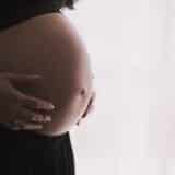 Tribina o vantelesnoj oplodnji u Kragujevcu 15. juna 5