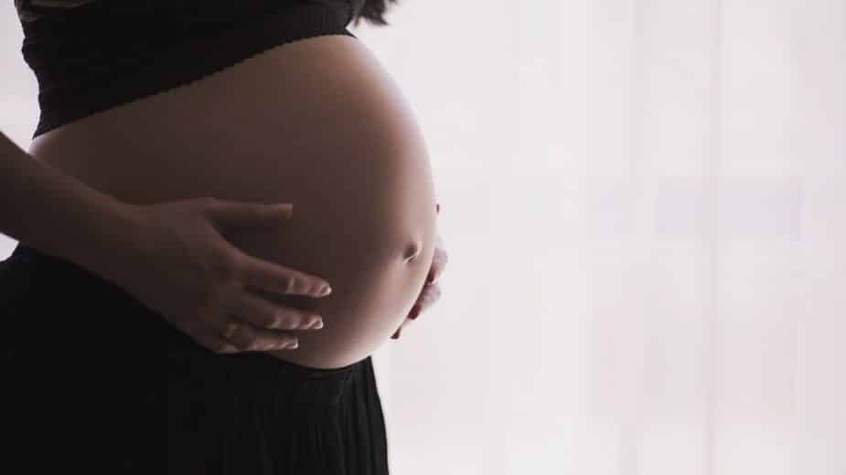 Tribina o vantelesnoj oplodnji u Kragujevcu 15. juna 1