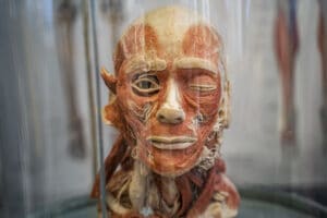 O „Svetu bez žena“ ili „Muškarci to rade bolje“ 2 O „Svetu bez žena“ ili „Muškarci to rade bolje“ 2