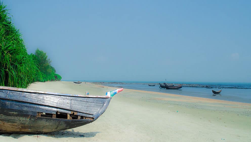 Situacija "sve po starom" onemogućiće da se izborimo sa pandemijama 2041. 1