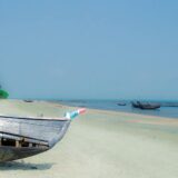 Situacija "sve po starom" onemogućiće da se izborimo sa pandemijama 2041. 6