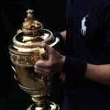 Ananas nije slučajno na vrhu vimbldonskog pehara 3