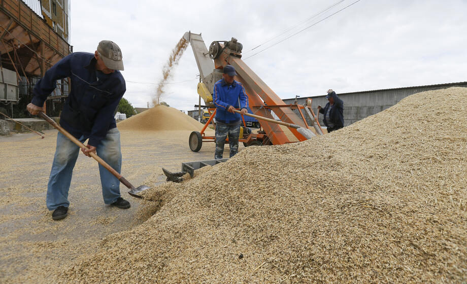Rusija i Ukrajina na prvim razgovorima o izvozu žitarica sa UN i turskim zvaničnicima 1