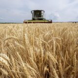 Ankara najavljuje da bi prvi brod s ukrajinskim žitaricama mogao da krene sutra 11