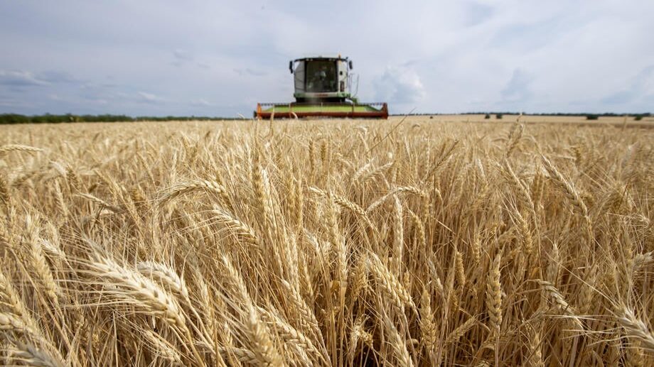 EU ključ srpskog izvoza: Najveća pomeranja kod struje i poljoprivrede 2