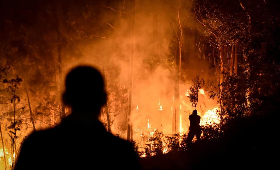 Najveći požar u istoriji Slovenije: Zbog vatre evakuisano nekoliko sela 1