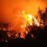 SZO: U požarima u Portugaliji i Španiji poginulo 1.700 ljudi 14