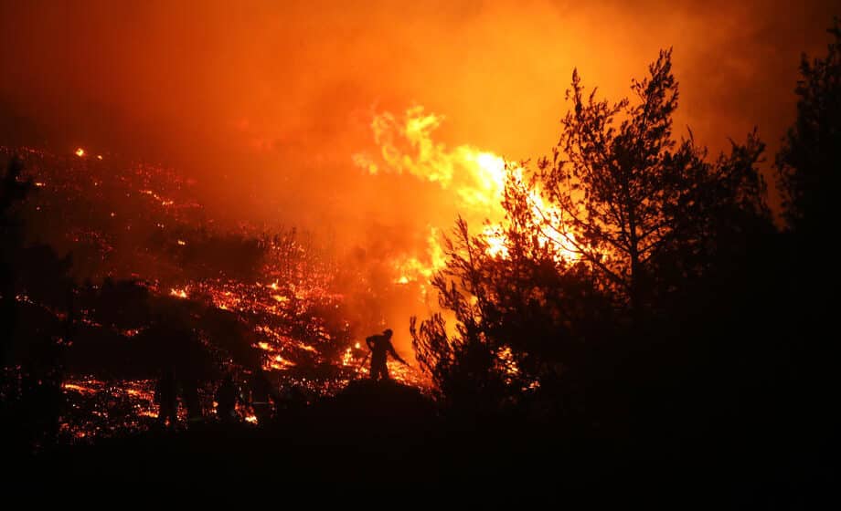 Tokom gašenja požara kod Dubrovnika poginuo vatrogasac 1