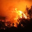 Požar u rezervatu prirode kod Kikinde naneo nenadoknadivu štetu 22