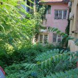 “Pogledajte kolika je trava, bojimo se da se ne pojave zmije i pacovi”: Ovako izgleda prostor iza ambulante u centru Zaječara 11