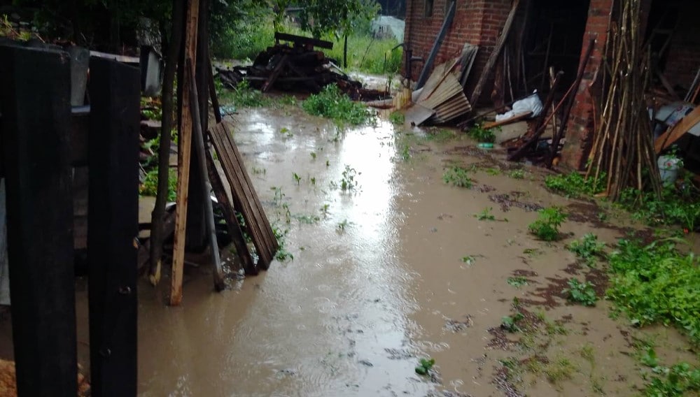 Snažno nevreme pogodilo Zaječar i okolinu: Jak vetar obarao drveće, ulice pod vodom 4 Snažno nevreme pogodilo Zaječar i okolinu: Jak vetar obarao drveće, ulice pod vodom 4