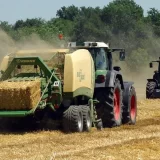 Tražnja i cene pšenice i kukuruza osciliraju u Srbiji i u svetu, oprezni i prodavci i kupci 10